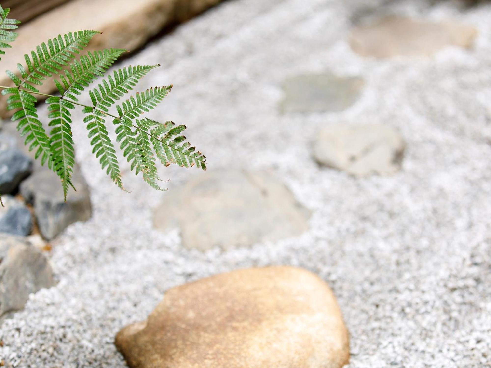 枳殻の杜 Kikoku No Mori Hotel Kyoto Luaran gambar